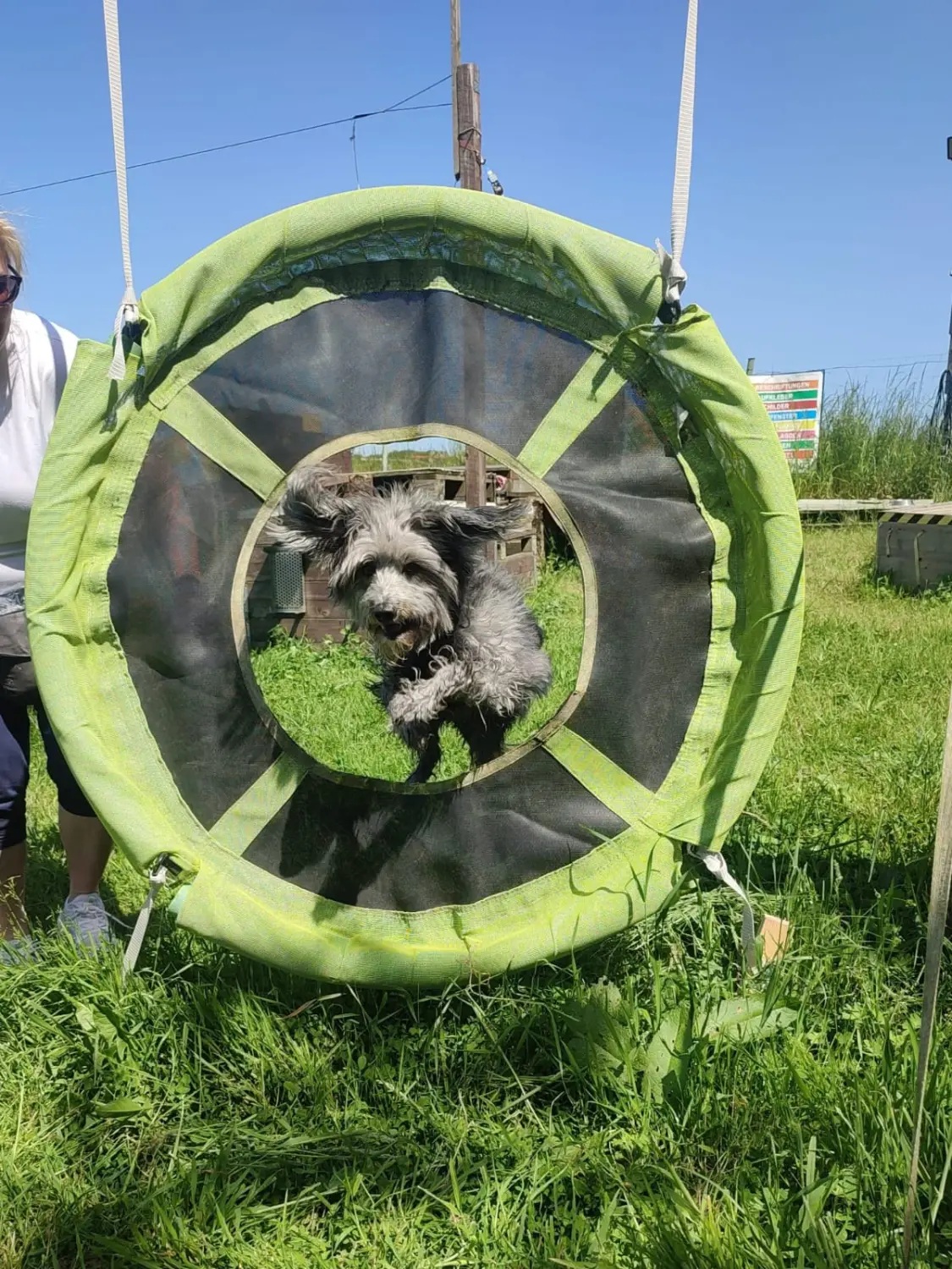 Hund spielt von HeP Hunde extrem Parcours