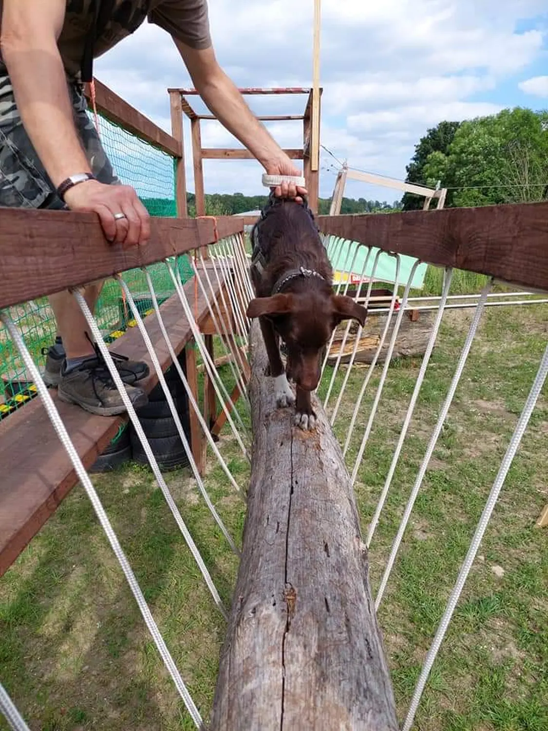 Hund spielt von HeP Hunde extrem Parcours