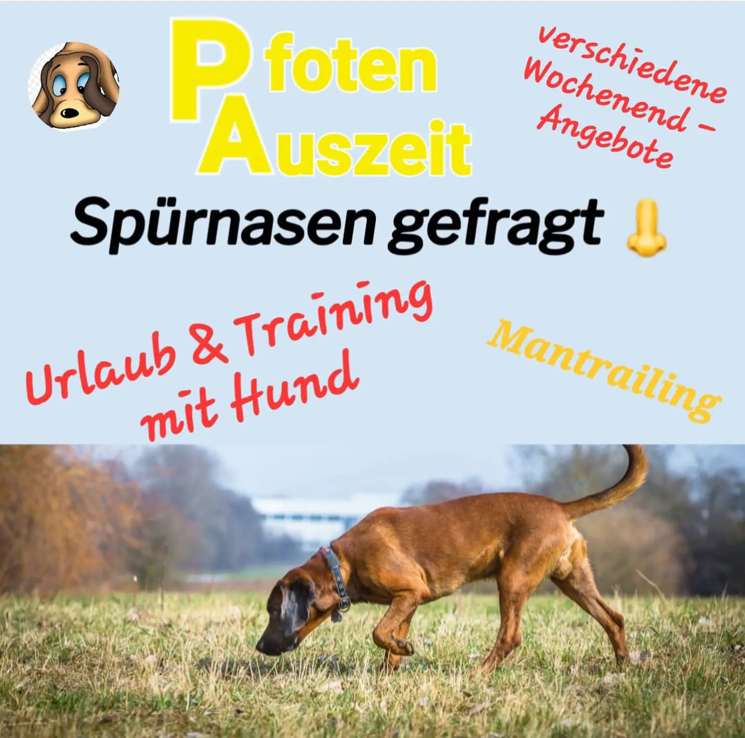 Pfoten-Auszeit von HeP Hunde extrem Parcours