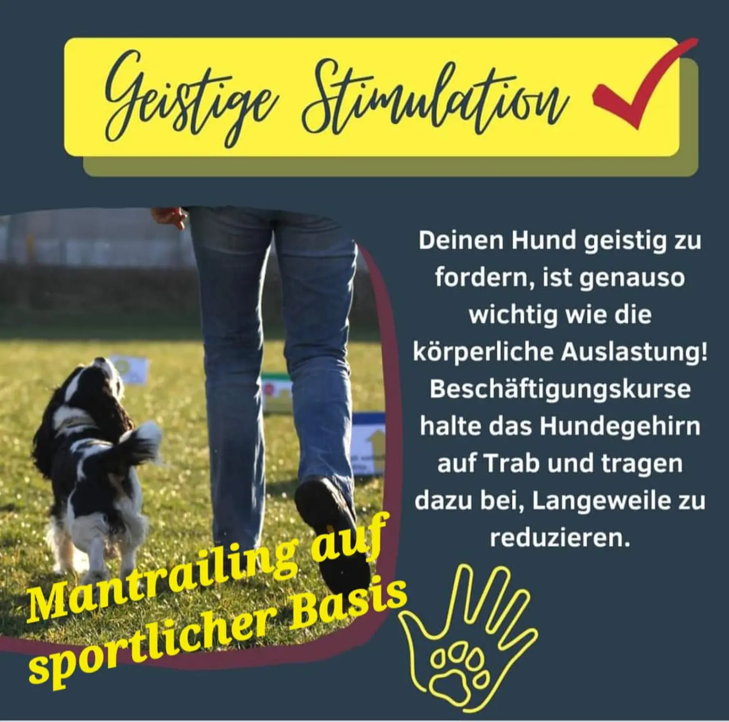 Mantrailing hund von HeP Hunde extrem Parcours