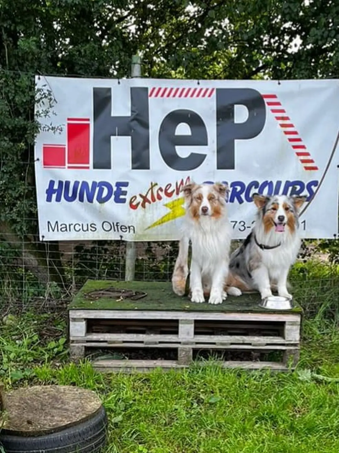 Hund spielt von HeP Hunde extrem Parcours