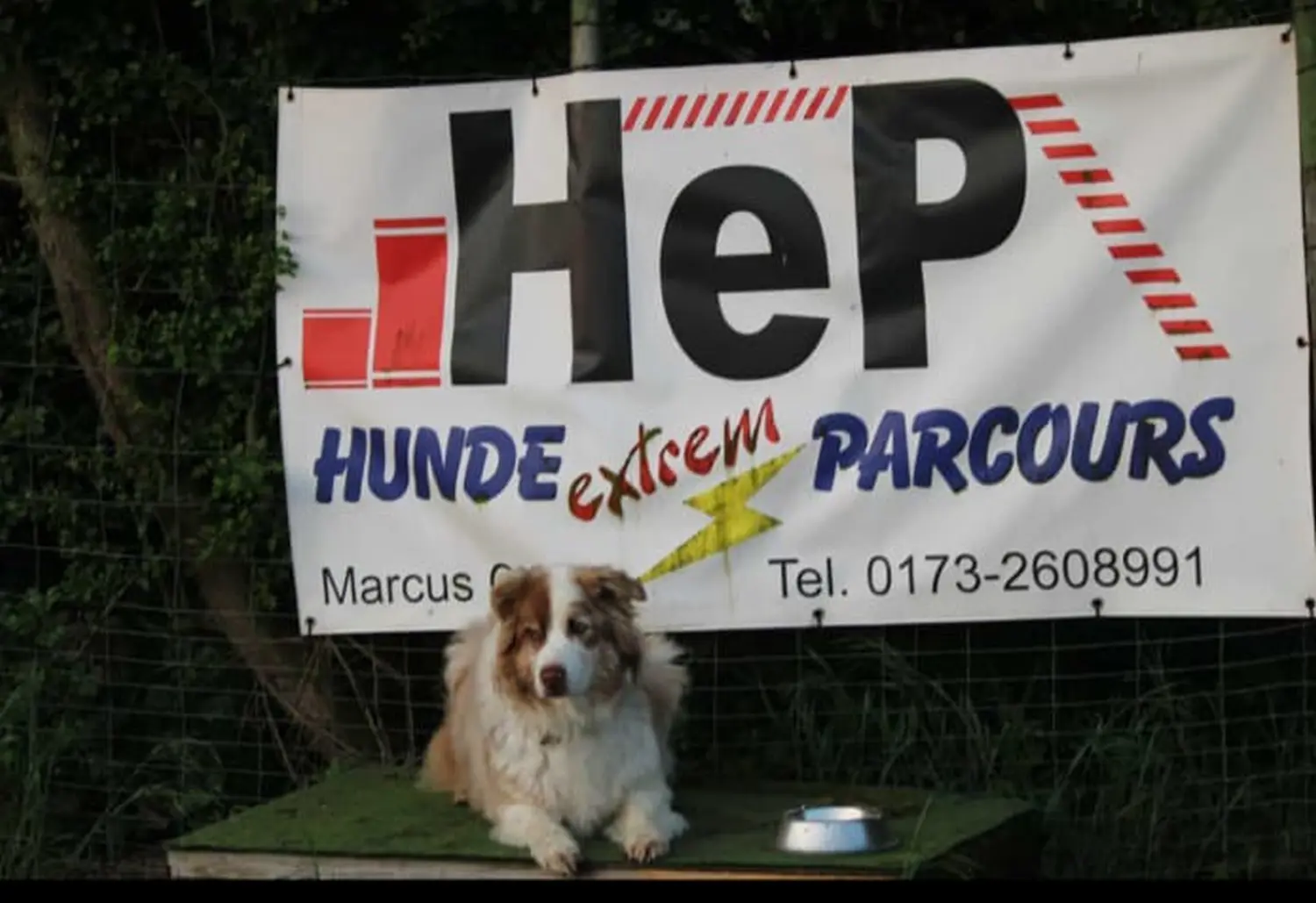 Hund spielt von HeP Hunde extrem Parcours