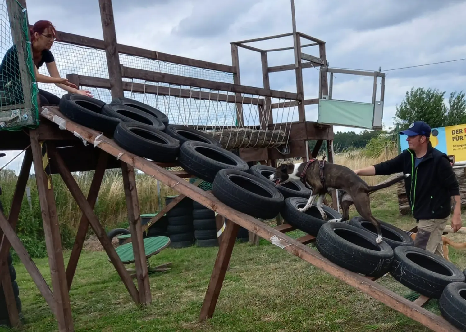 Hund spielt von HeP Hunde extrem Parcours