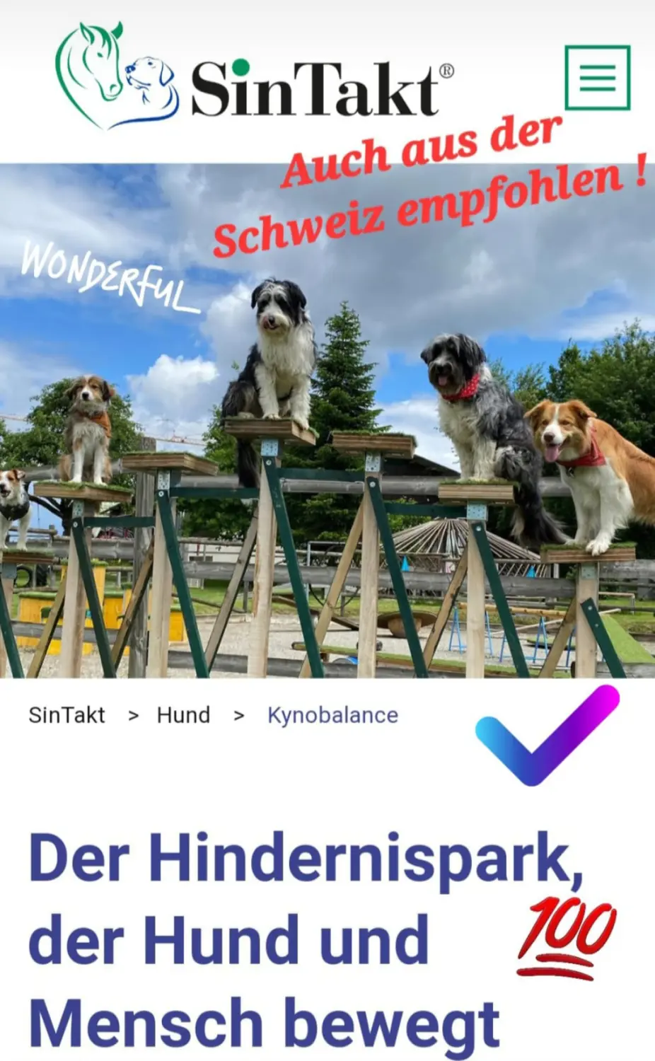 Sin Takt von HeP Hunde extrem Parcours